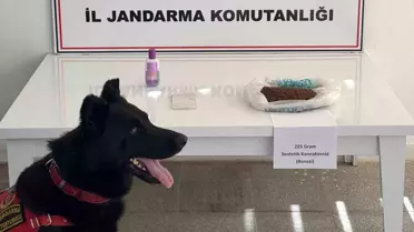 Muş'ta Uyuşturucu Operasyonu: 2 Gözaltı