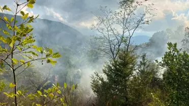 Sinop'un Türkeli İlçesinde Yangın Kontrol Altına Alındı
