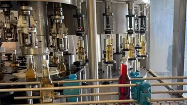 Şarköylü Üreticiler Üzüm Suyunu Avrupa'ya Satıyor