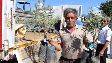 Antalya Büyükşehir Belediyesi'nden Gazipaşa'ya Zeytin Fidanı Desteği