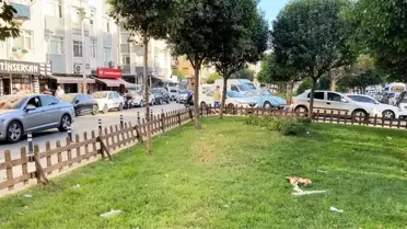 16 yaşındaki kız ile annesi, tartıştıkları kişiyi bıçaklayarak öldürdü