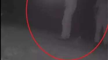 Bartın'da Yasa Dışı Bozayı Avı