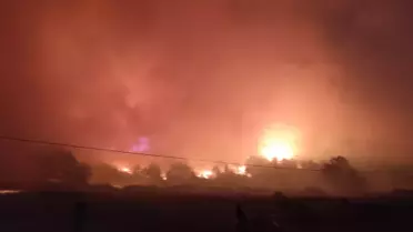 Karacabey'de Orman Yangını