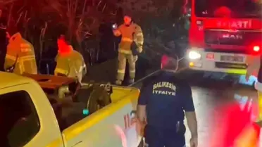 Kapıdağ Yarımadası'nda Sigara İzmaritinden Yangın Çıktı