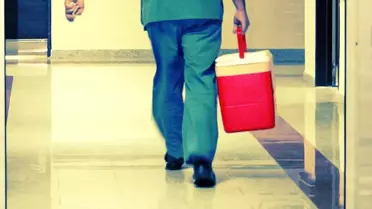 Organ bağışında yeni dönem! Artık e-Devlet ve e-Nabız üzerinden yapılabilecek