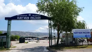 Eskişehir'de Şap Hastalığı Nedeniyle Hayvan Pazarı Kapatıldı