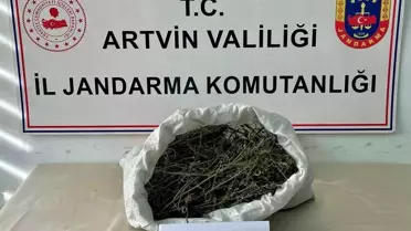 Artvin'de Uyuşturucu Operasyonu