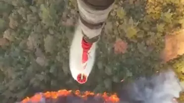 Balıkesir'de Orman Yangını