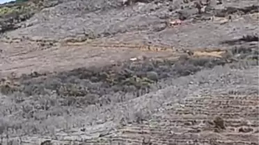 Karacabey'deki Orman Yangını 16 Saatte Söndürüldü