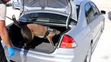 Çumra'da Uyuşturucu Denetimi Yapıldı