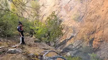 Kepsut'ta Orman Yangınına Müdahale Devam Ediyor