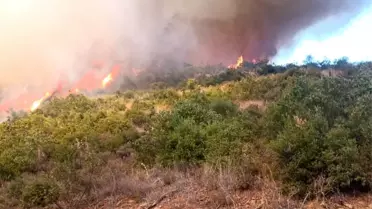 Kepsut'ta Trafik Kazası Ormana Yangın Sıçrattı