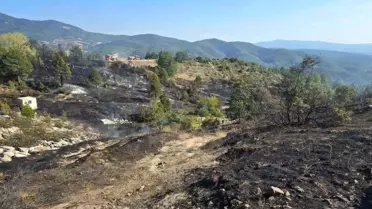 Bursa'da Piknik Yangını Kontrol Altına Alındı