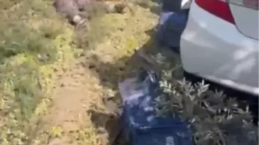 Silifke'de Trafik Kazası: 1 Ölü, 3 Yaralı
