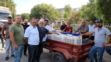İncir Alımları Tüccar Sorunu Nedeniyle Durduruldu