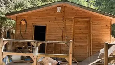 Uludağ'da Ayı Barakayı Talan Etti