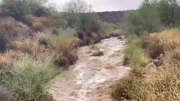 Arizona'da Sel Felaketi: 4 Ölü