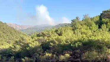 Adıyaman'da Orman Yangını Kontrol Altında