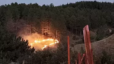 Bingöl Genç'te Orman Yangını Kontrol Altına Alındı