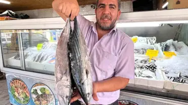 Kahramanmaraş'ta Balık İhracatı ve Yeni Pazar