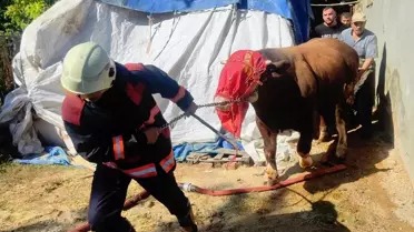 Malatya'da Ahır Yangını Kontrol Altına Alındı