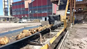 Malatya Şeker Fabrikası 62 Bin Ton Şeker Üretecek