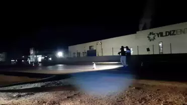 Bolu'da Tır Sürücüsü Kaza Sonucu Hayatını Kaybetti