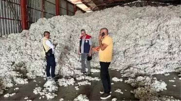 Söke Ovası'nda Pamuk Hasat Sezonu İçin Alınan Tedbirler Açıklandı