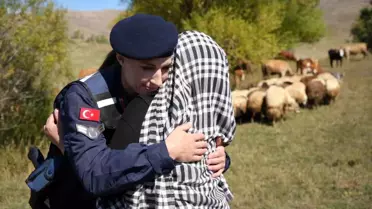 Kaybolan Koyunlar Jandarma Tarafından Bulundu