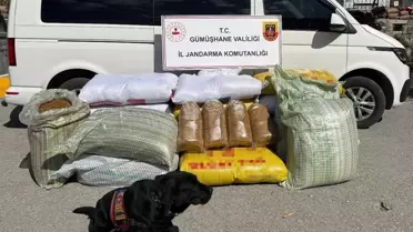Gümüşhane'de 530 Kilo Kaçak Tütün Ele Geçirildi