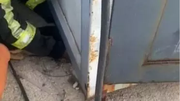 Samandağ'da Sıkışan Yavru Köpek İtfaiye Ekipleri Tarafından Kurtarıldı