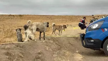 Edirne'de Arazi Anlaşmazlığı Kanlı Bitti