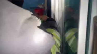 Samandağ'da Marketin Soğutma Dolabına Giren Yılan Yakalandı
