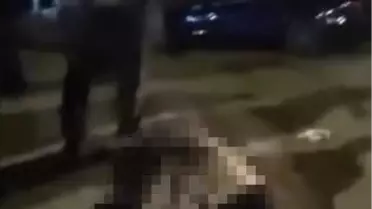 Muş'ta Yaşlı Kadın Otomobil Çarpmasıyla Hayatını Kaybetti