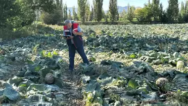 Afyonkarahisar'da Tarım Ürünleri Kontrolü