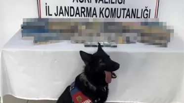 Doğubayazıt'ta Kaçak Sigara Operasyonu