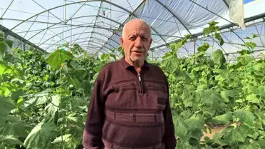 Uzundere'deki Sera Yıl Boyu Üretim Yapıyor