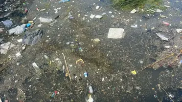 Halkapınar Deresi'nde Kirlilik Sorunu