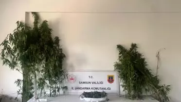 Samsun'da Uyuşturucu Operasyonu: 3 Gözaltı