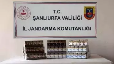 Şanlıurfa'da 910 Paket Kaçak Sigara Ele Geçirildi