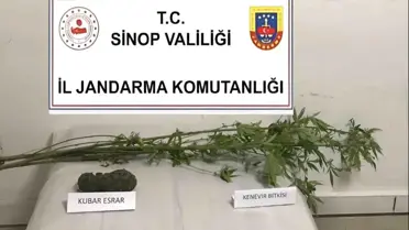 Ayancık'ta Uyuşturucu Operasyonu