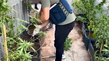 Mersin'de Uyuşturucu Operasyonu