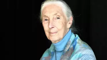 Jane Goodall Hayatını Kaybetti