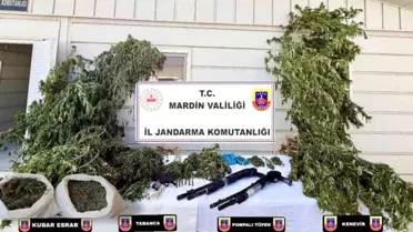 Mardin'de Uyuşturucu Operasyonu: 38 Gözaltı