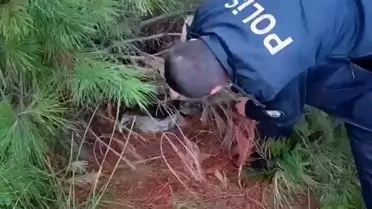 Kaçak Avcılık Operasyonu: Şüpheli Gözaltında