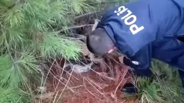 Samsun'da Kaçak Avcı Tuzağa Düşürüldü