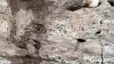 Yozgat'ta toprak altında insan kemikleri bulundu