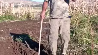 Domuza sosyal medyadan ateş püskürdü: Senin kalemini kıracağım