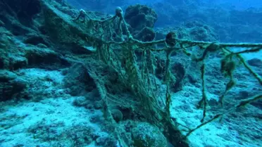 Datça'da Hayalet Ağlar Temizlendi