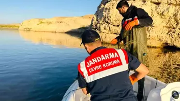 Batman'da Hayalet İle Serpme Ağlar Ele Geçirildi